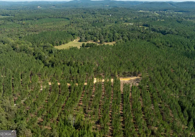 Photo 2 of Land for sale at Tracts 10,11,12 Livingston Rd Sw, Rome, GA 30161 | MLS# 10850716 | Listing updated on 2026-10-06