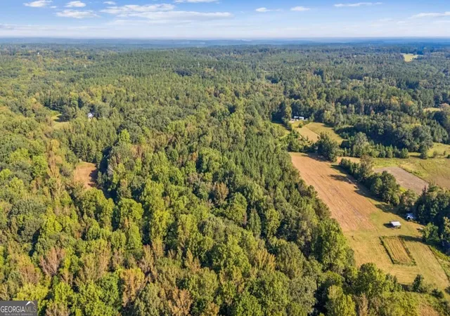 Photo 2 of Land for sale at 0 Elberton Rd, Carlton, GA 30627 | MLS# 10837028 | Listing updated on 2026-09-15