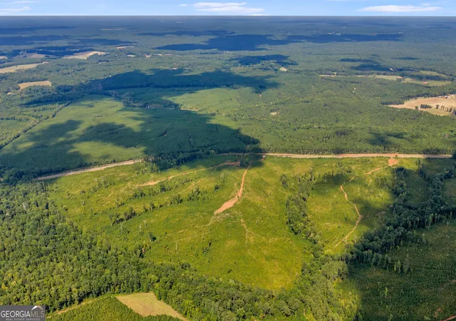 Photo 3 of Land for sale at 212 E Ga Hwy, Monticello, GA 31064 | MLS# 10841862 | Listing updated on 2026-09-22