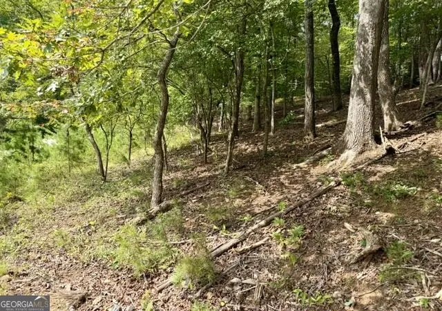 Photo 3 of Land for sale at 40 Madeline Anthony Rd, Dahlonega, GA 30533 | MLS# 10846500 | Listing updated on 2026-09-30