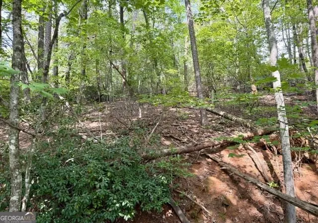 Photo 3 of Land for sale at 40 Madeline Anthony Rd, Dahlonega, GA 30533 | MLS# 10846500 | Listing updated on 2026-09-30