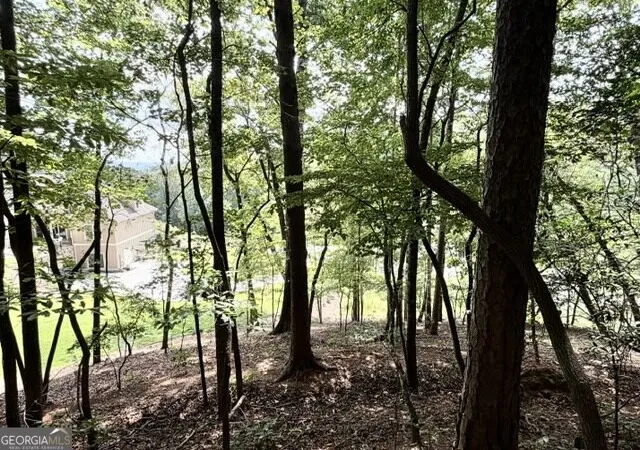 Photo 4 of Land for sale at 40 Madeline Anthony Rd, Dahlonega, GA 30533 | MLS# 10846500 | Listing updated on 2026-09-30