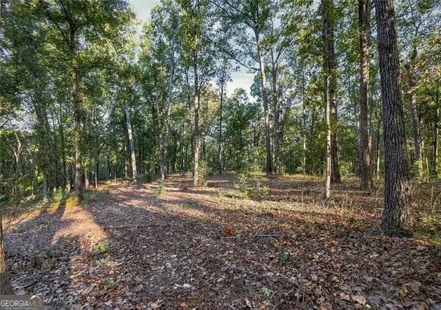 Photo 2 of Land for sale at 723 Chattin, Canton, GA 30115 | MLS# 10874277 | Listing updated on 2026-10-30