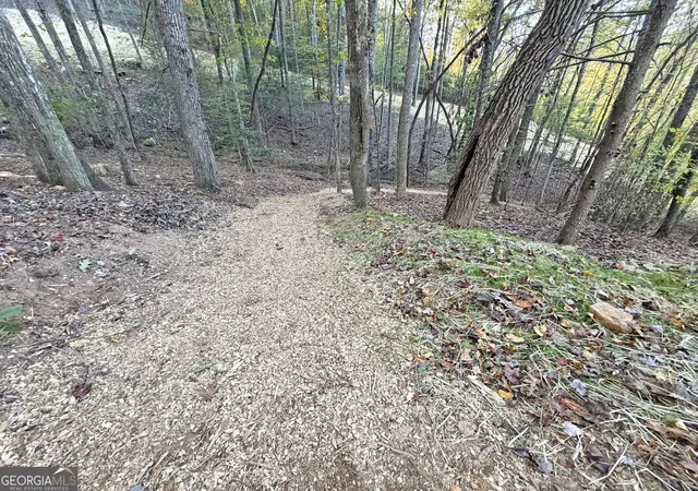 Photo 2 of Land for sale at 13c Rainey Valley Ln, Morganton, GA 30560 | MLS# 10877847 | Listing updated on 2026-10-30