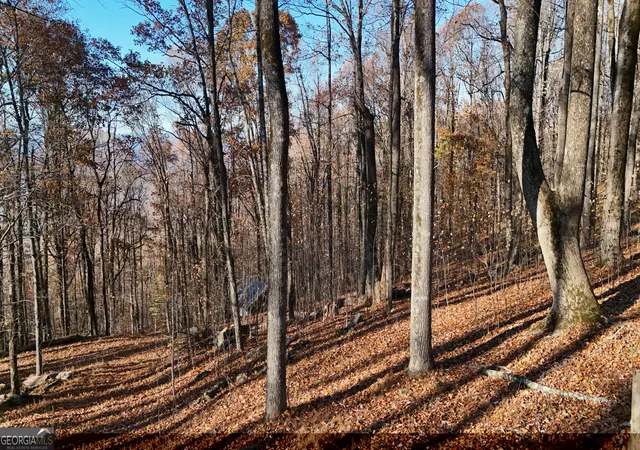 Photo 1 of Land for sale at Lot 11 Mountainside Dr, Cleveland, GA 30528 | MLS# 10851937 | Listing updated on 2026-10-07