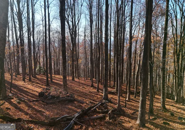Photo 3 of Land for sale at Lot 11 Mountainside Dr, Cleveland, GA 30528 | MLS# 10851937 | Listing updated on 2026-10-07