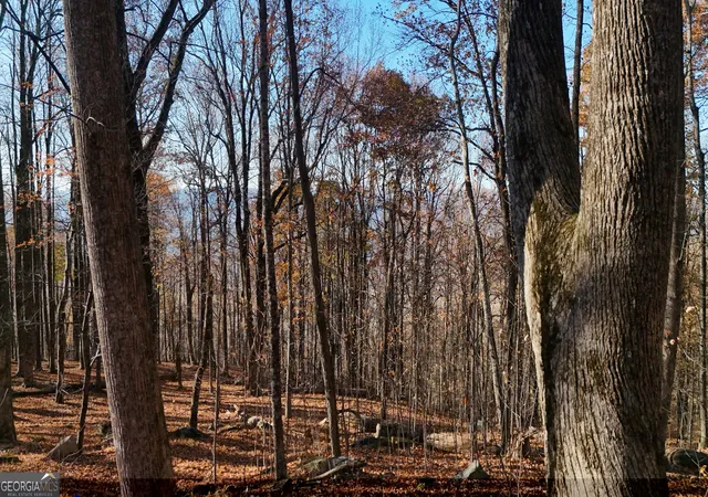Photo 3 of Land for sale at Lot 11 Mountainside Dr, Cleveland, GA 30528 | MLS# 10851937 | Listing updated on 2026-10-07