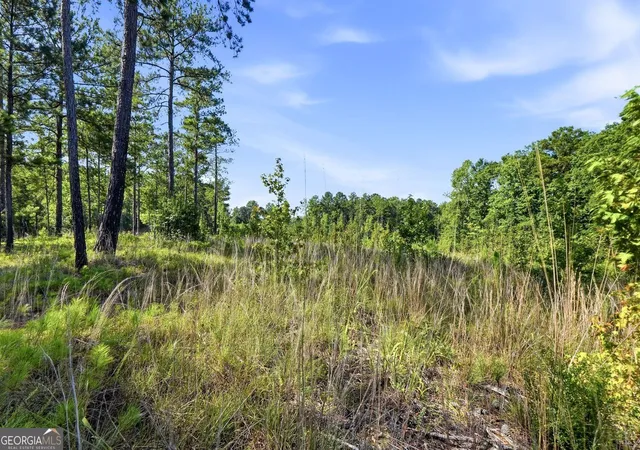 Photo 2 of Sale Pending at 680 Giles Rd, Forsyth, GA 31029 | MLS# 10844428 | Listing updated on 2026-09-18