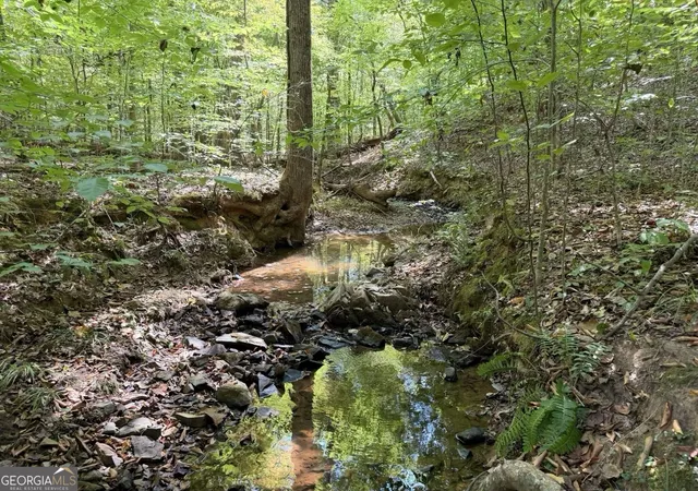 Photo 1 of Land for sale at 11 Bunch Rd, Tignall, GA 30668 | MLS# 10849654 | Listing updated on 2026-10-03