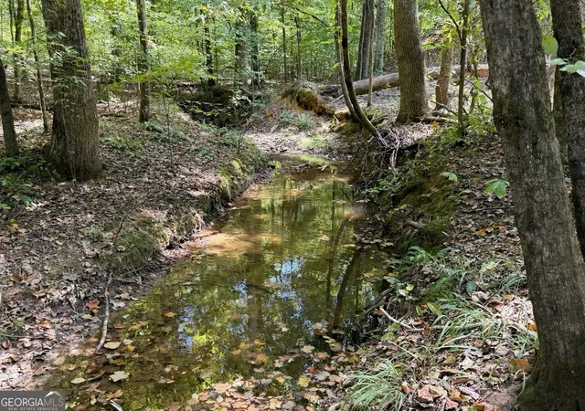 Photo 2 of Land for sale at 11 Bunch Rd, Tignall, GA 30668 | MLS# 10849654 | Listing updated on 2026-10-03