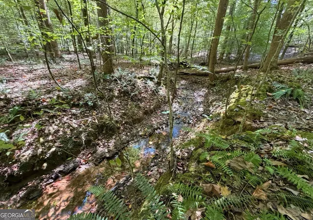 Photo 3 of Land for sale at 11 Bunch Rd, Tignall, GA 30668 | MLS# 10849654 | Listing updated on 2026-10-03