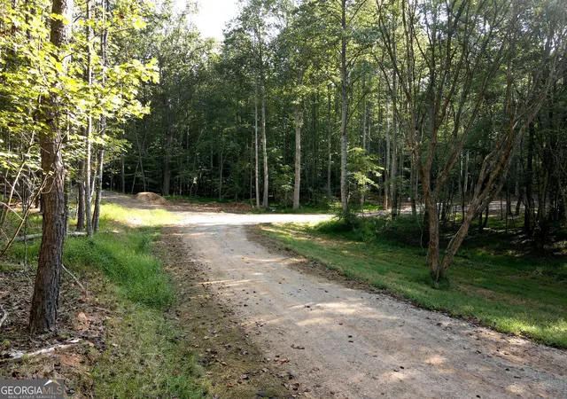 Photo 3 of Land for sale at 174 Boyd Holw Dr, Blairsville, GA 30512 | MLS# 10850957 | Listing updated on 2026-10-06