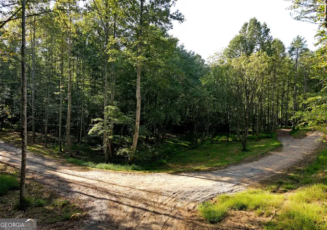 Photo 3 of Land for sale at 174 Boyd Holw Dr, Blairsville, GA 30512 | MLS# 10850957 | Listing updated on 2026-10-06