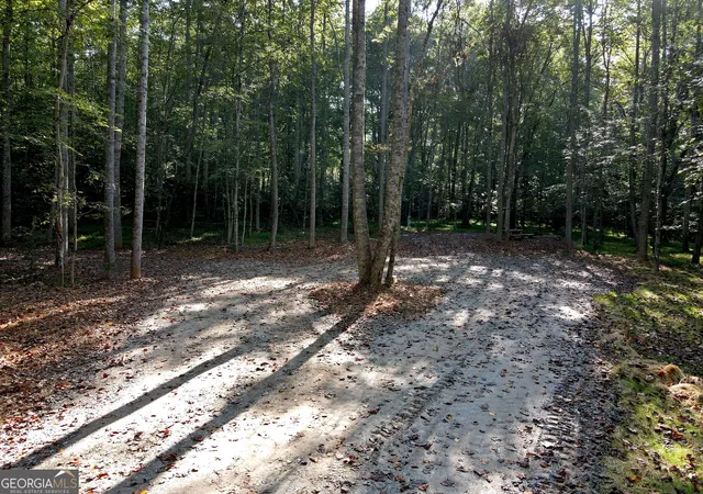 Photo 4 of Land for sale at 174 Boyd Holw Dr, Blairsville, GA 30512 | MLS# 10850957 | Listing updated on 2026-10-06