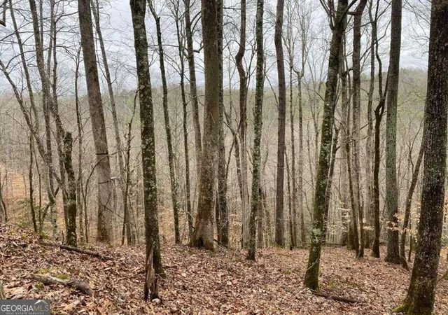 Photo 1 of Land for sale at 4ac Scenic Way #3833, Ellijay, GA 30540 | MLS# 10844555 | Listing updated on 2026-09-11