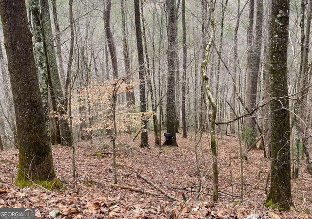 Photo 2 of Land for sale at 4ac Scenic Way #3833, Ellijay, GA 30540 | MLS# 10844555 | Listing updated on 2026-09-11