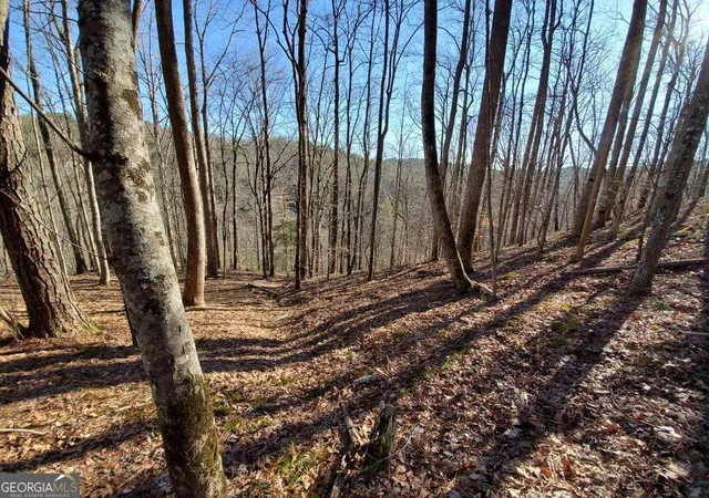 Photo 33 of Land for sale at 4ac Scenic Way #3833, Ellijay, GA 30540 | MLS# 10844555 | Listing updated on 2026-09-11