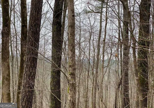 Photo 3 of Land for sale at 4ac Scenic Way #3833, Ellijay, GA 30540 | MLS# 10844555 | Listing updated on 2026-09-25