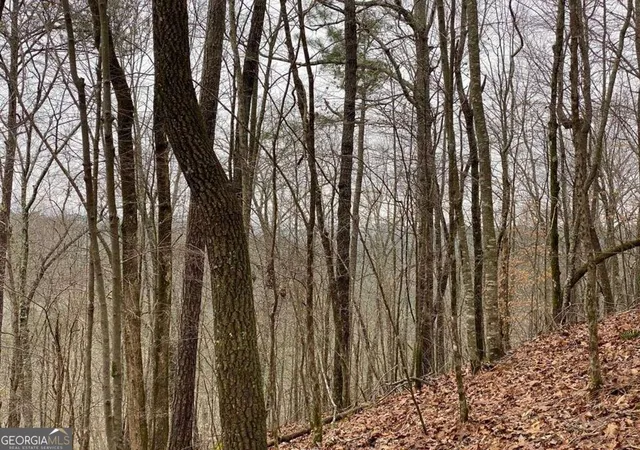 Photo 3 of Land for sale at 4ac Scenic Way #3833, Ellijay, GA 30540 | MLS# 10844555 | Listing updated on 2026-10-29