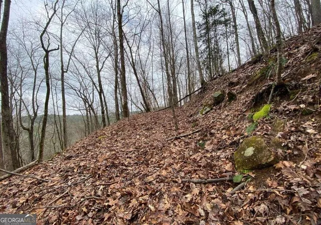 Photo 4 of Land for sale at 4ac Scenic Way #3833, Ellijay, GA 30540 | MLS# 10844555 | Listing updated on 2026-10-29