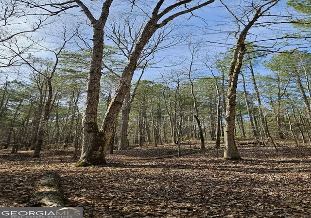 Photo 2 of Land for sale at 1121 Apalachee Meadows Dr, Madison, GA 30650 | MLS# 10849612 | Listing updated on 2026-10-03