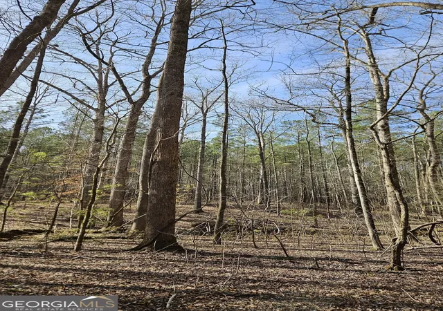 Photo 3 of Land for sale at 1121 Apalachee Meadows Dr, Madison, GA 30650 | MLS# 10849612 | Listing updated on 2026-10-03
