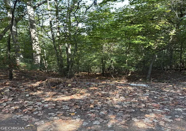 Photo 1 of Land for sale at 946 Aurora Ln, Ranger, GA 30734 | MLS# 10849569 | Listing updated on 2026-10-03