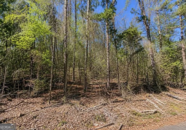 Photo 3 of Land for sale at Lot T 47 Lovers Ln, Georgetown, GA 39854 | MLS# 10845240 | Listing updated on 2026-10-08