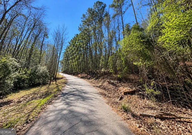 Photo 3 of Land for sale at Lot T-47 Lovers Ln, Georgetown, GA 39854 | MLS# 10845240 | Listing updated on 2026-10-11