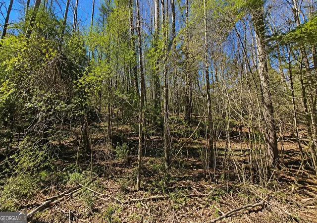 Photo 4 of Land for sale at Lot T-47 Lovers Ln, Georgetown, GA 39854 | MLS# 10845240 | Listing updated on 2026-10-11