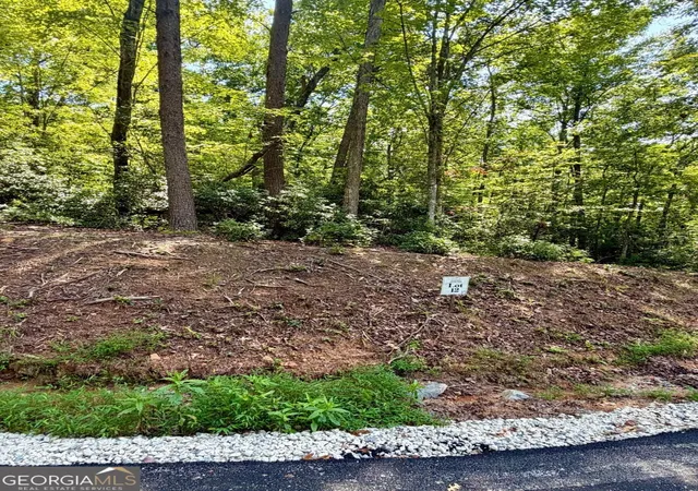 Photo 1 of Land for sale at Lot 12 Sapphire Ridge, Blue Ridge, GA 30513 | MLS# 10848495 | Listing updated on 2026-09-18