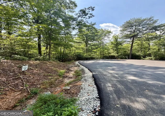 Photo 3 of Land for sale at Lot 12 Sapphire Ridge, Blue Ridge, GA 30513 | MLS# 10848495 | Listing updated on 2026-09-18