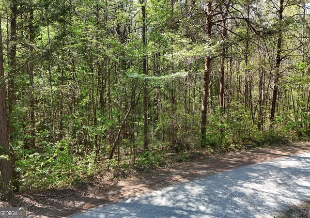 Photo 1 of Land for sale at 0 Holcomb North Dr, Martin, GA 30557 | MLS# 10831591 | Listing updated on 2026-09-07