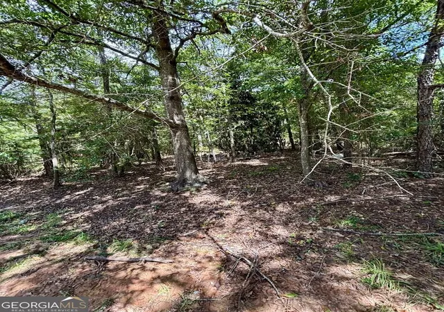 Photo 3 of Land for sale at 4521 Ottawa St, Columbus, GA 31907 | MLS# 10840669 | Listing updated on 2026-09-18