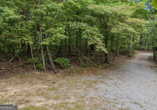 Photo 1 of Sale Pending at 0 Clearview Dr, Talking Rock, GA 30175 | MLS# 10848524 | Listing updated on 2026-09-28