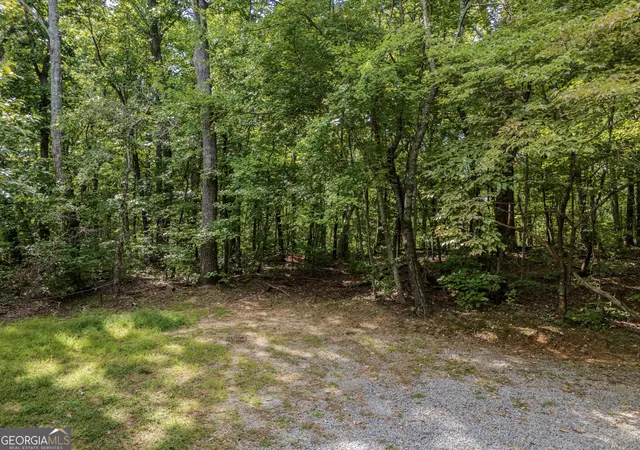 Photo 2 of Sale Pending at 0 Clearview Dr, Talking Rock, GA 30175 | MLS# 10848524 | Listing updated on 2026-09-28