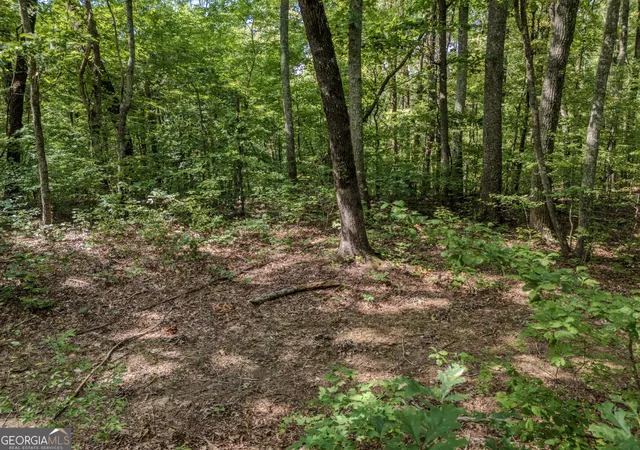 Photo 3 of Sale Pending at 0 Clearview Dr, Talking Rock, GA 30175 | MLS# 10848524 | Listing updated on 2026-09-28