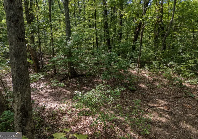 Photo 3 of Sale Pending at 0 Clearview Dr, Talking Rock, GA 30175 | MLS# 10848524 | Listing updated on 2026-09-28