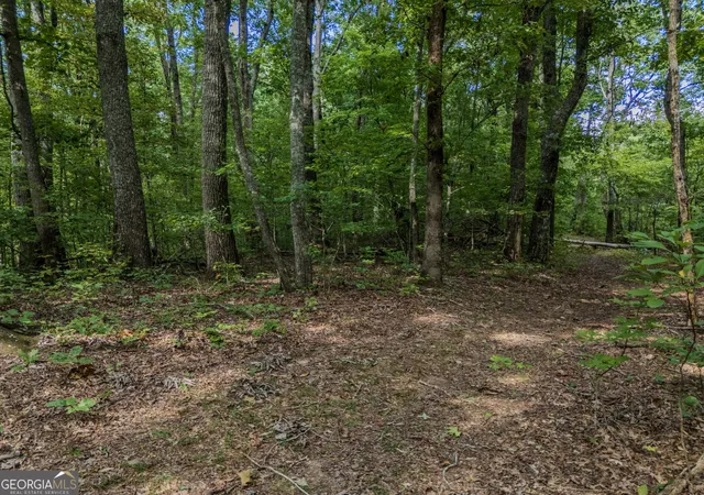 Photo 4 of Sale Pending at 0 Clearview Dr, Talking Rock, GA 30175 | MLS# 10848524 | Listing updated on 2026-09-28