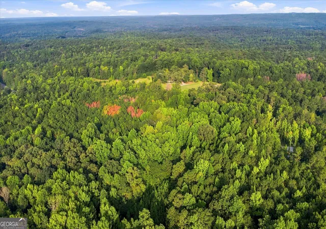 Photo 4 of Land for sale at 8010 Campbellton Redwine Rd, Palmetto, GA 30268 | MLS# 10840043 | Listing updated on 2026-09-28