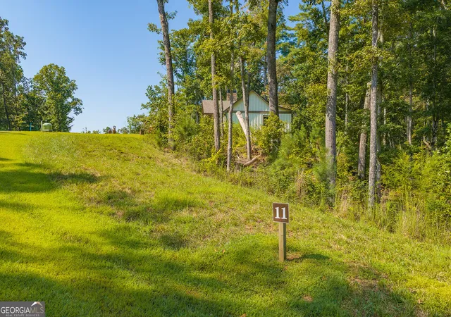 Land for sale at Lot 11 Lake Top Ln, Ellijay, GA 30540 | MLS# 10852407