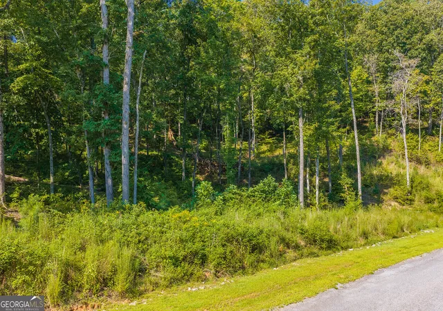 Photo 3 of Land for sale at Lot 11 Lake Top Ln, Ellijay, GA 30540 | MLS# 10852407 | Listing updated on 2026-09-24