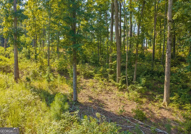 Photo 4 of Land for sale at Lot 11 Lake Top Ln, Ellijay, GA 30540 | MLS# 10852407 | Listing updated on 2026-09-24