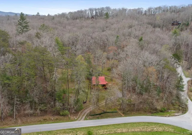 Photo 3 of Single family home for sale at 541 Black Ankle Crk Rd, Cherry Log, GA 30522 | MLS# 10879608 | Listing updated on 2026-10-27