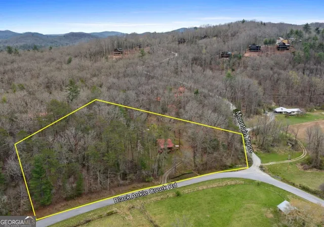 Photo 4 of Single family home for sale at 541 Black Ankle Crk Rd, Cherry Log, GA 30522 | MLS# 10879608 | Listing updated on 2026-10-27