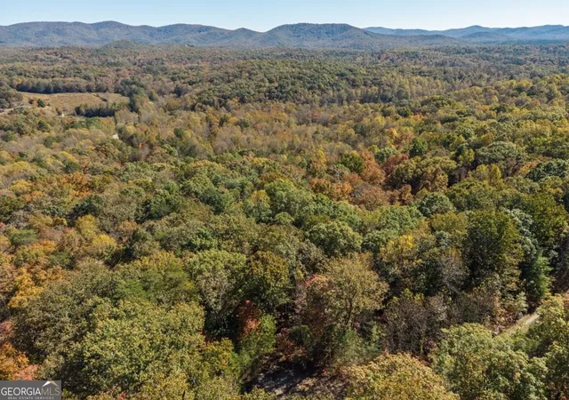 Photo 1 of Land for sale at 0 Marjorie Ave, Ellijay, GA 30536 | MLS# 10872136 | Listing updated on 2026-10-28
