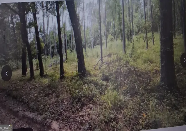 Photo 1 of Land for sale at 189 Nw Morris Stevens Rd, Macon, GA 31217 | MLS# 10840664 | Listing updated on 2026-09-18