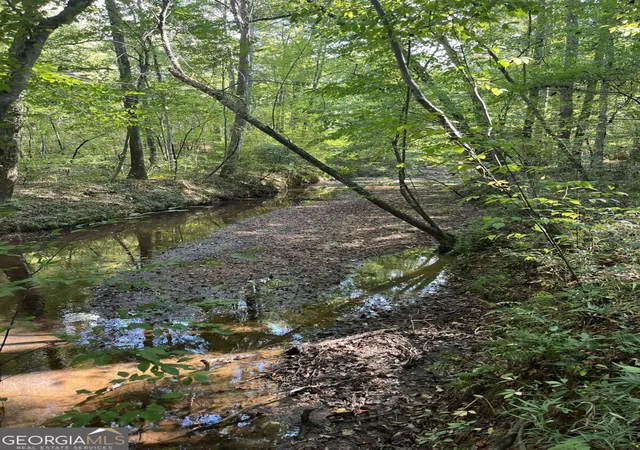 Photo 3 of Land for sale at 46 Crk Ridge, Winterville, GA 30683 | MLS# 10850830 | Listing updated on 2026-09-25