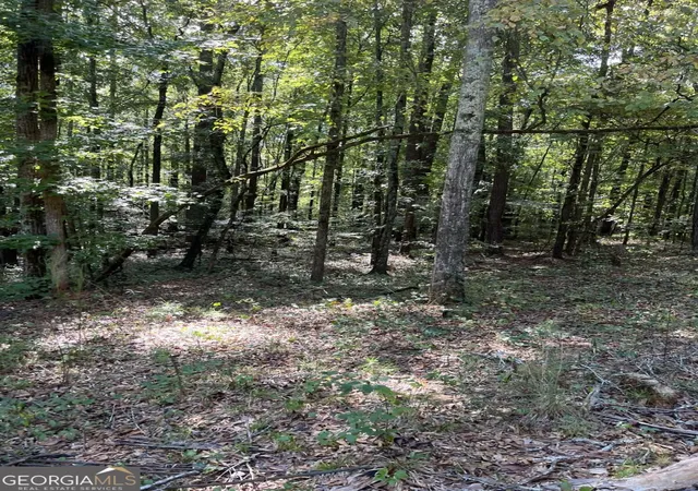 Photo 4 of Land for sale at 46 Crk Ridge, Winterville, GA 30683 | MLS# 10850830 | Listing updated on 2026-09-25