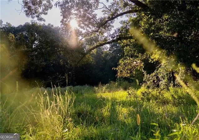 Photo 38 of Land for sale at 0 Porter Springs Road, Dahlonega, GA 30533 | MLS# 10820285 | Listing updated on 2026-09-14